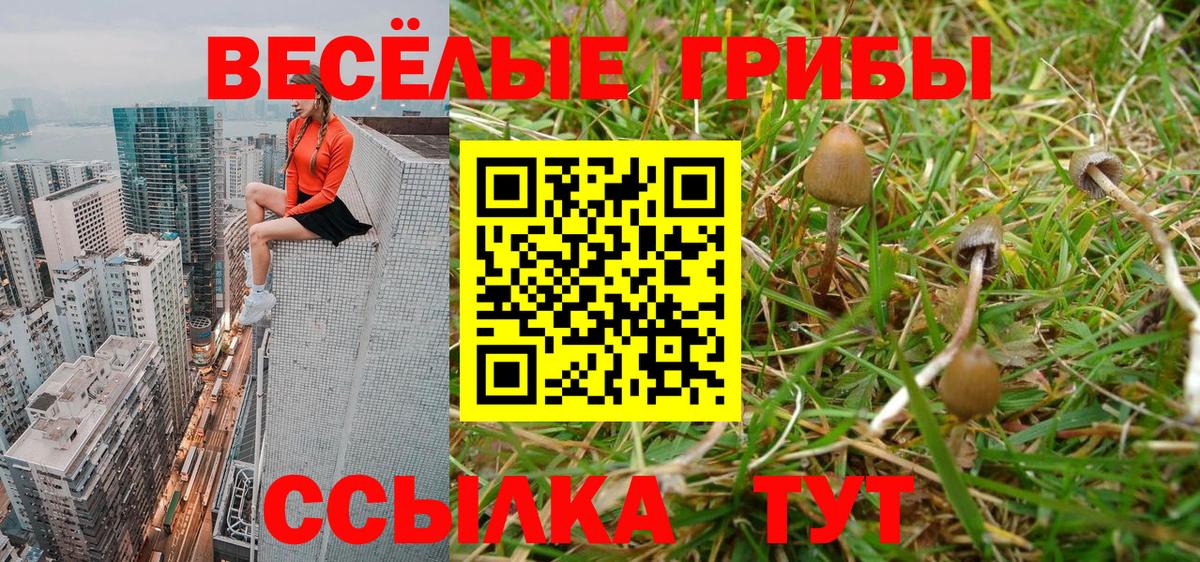 Псилоцибиновые грибы прущие грибы Сланцы