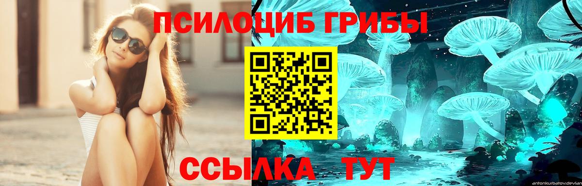 Сланцы  Галлюциногенные грибы GOLDEN TEACHER  Псилоцибиновые грибы прущие грибы  Вход с VPN 
